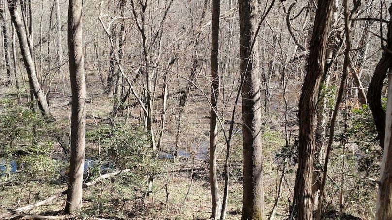 IMG_20170226_114523467