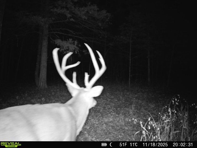 860322065093244-100-2-11182025200230-W1006535