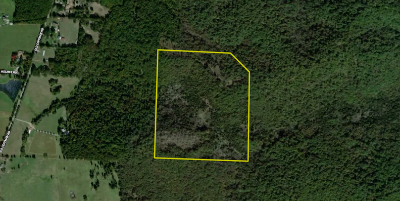 Screenshot 2024-07-16 at 8.16.11 AM