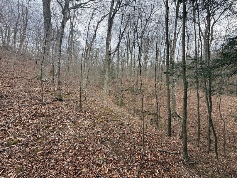 007 view a the valley on the south portion of the property