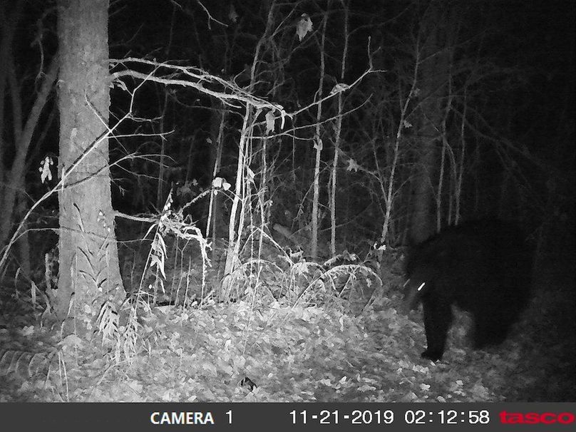 79154866_451629339070763_2390976768623247360_n