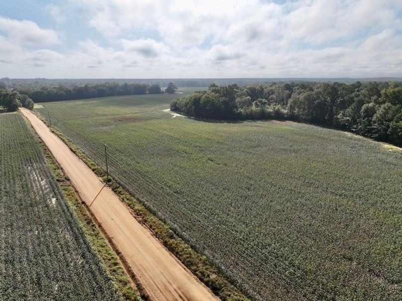 dji_fly_20251007_100552_214_1759846417732_photo