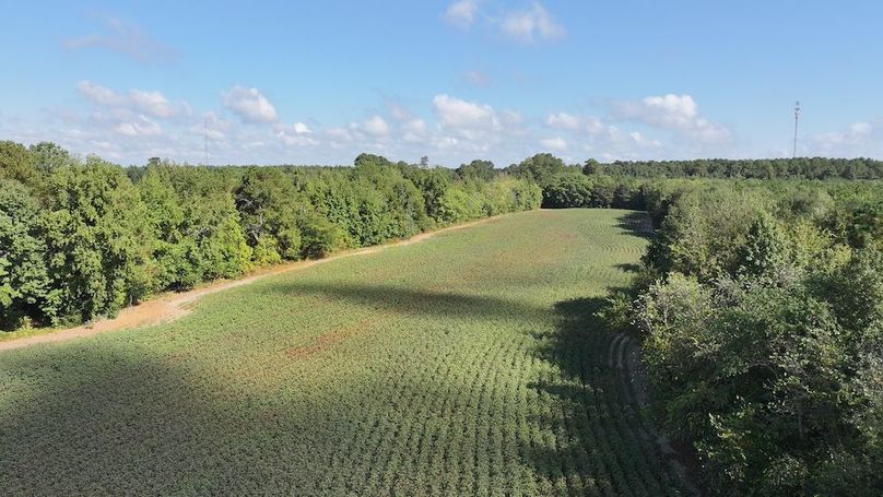 DJI_20250911024042_0319_D