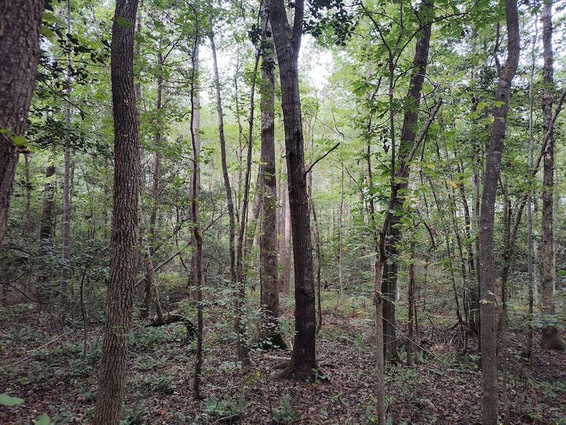 IMG_20250914_151840094