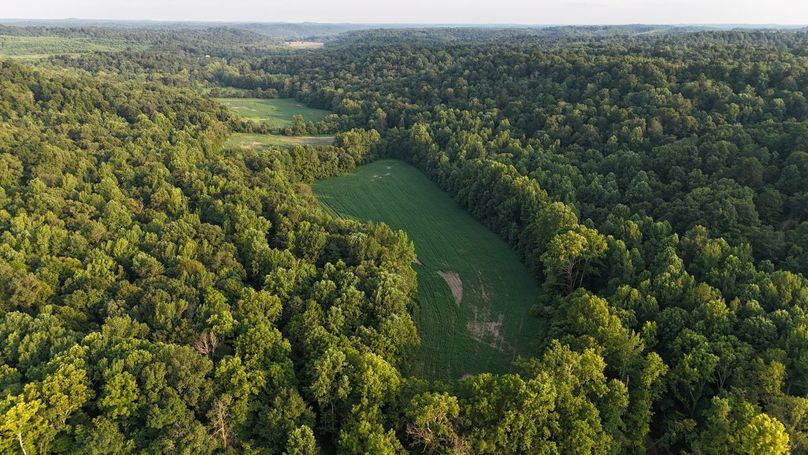 DJI_20250730190049_0081_D