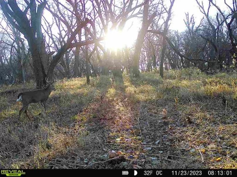 b0f8d929-804b-4ece-ac25-c60ddc41fe46