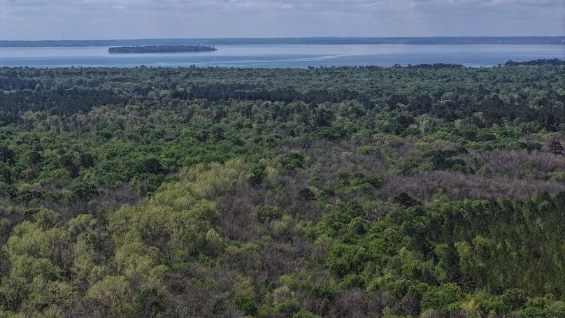 DJI_20260327115342_0033_D