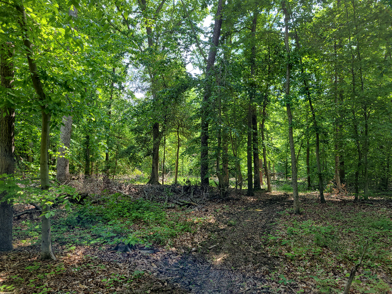 26.48ac_McKenneyLn_QAnnes_13