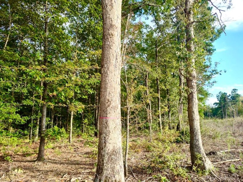 IMG_20250914_172119083_HDR