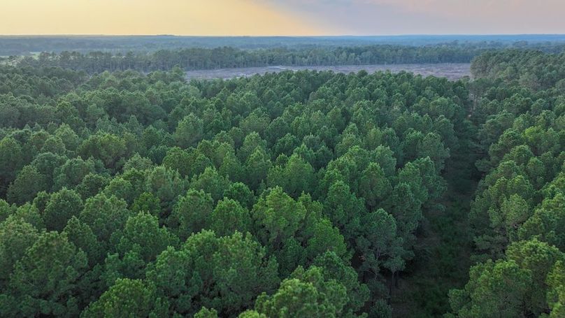 DJI_20250918180013_0183_D