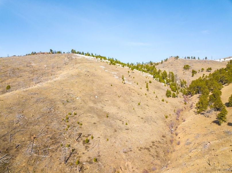 20250410-DJI_0030