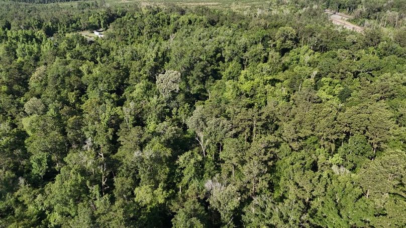 dji_fly_20260512_091720_0176_1778611353729_photo