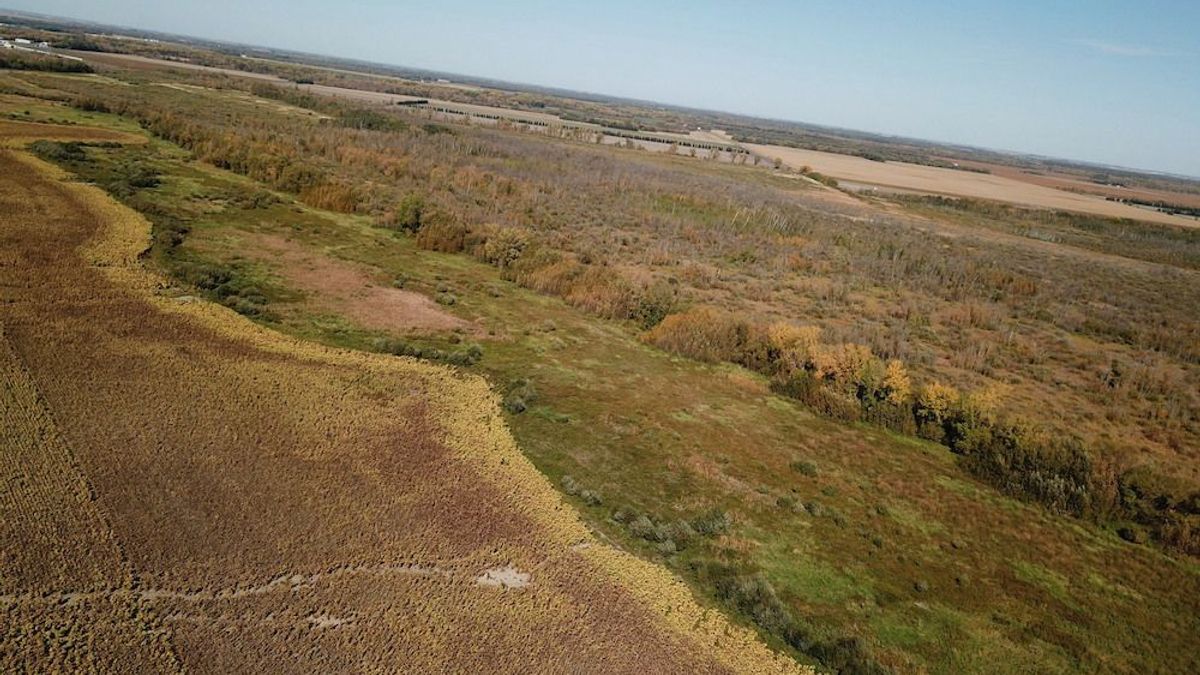 Whitetail Haven Near Walhalla Whitetail Properties