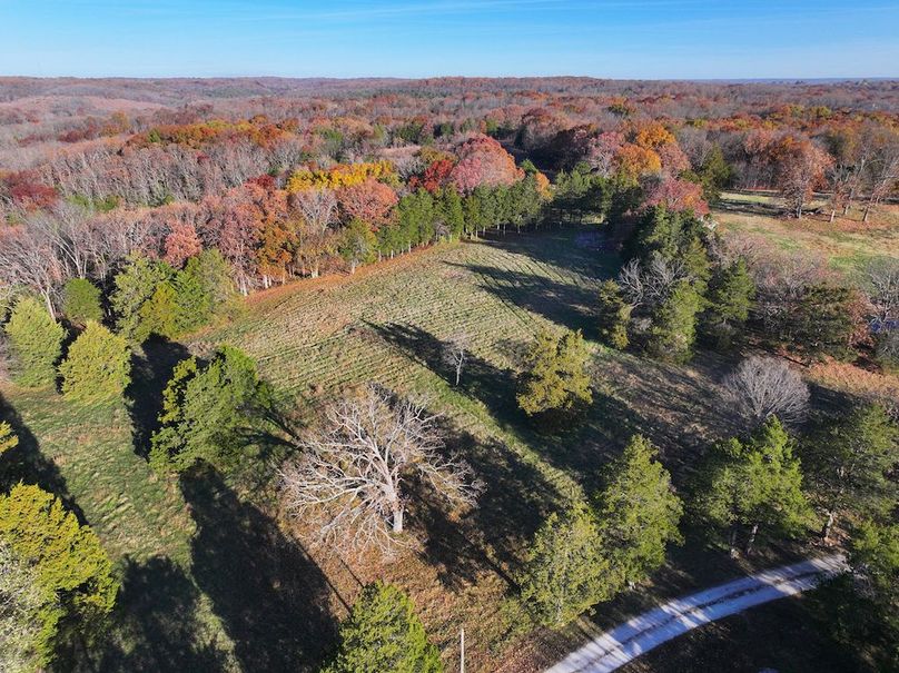 DJI_20251112081050_0882_D