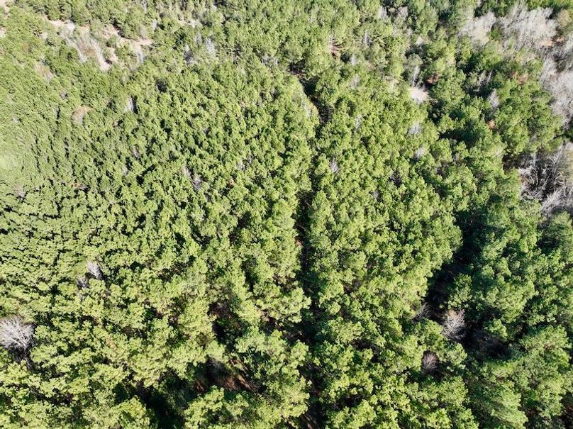 dji_fly_20251222_141850_92_1766431468635_photo