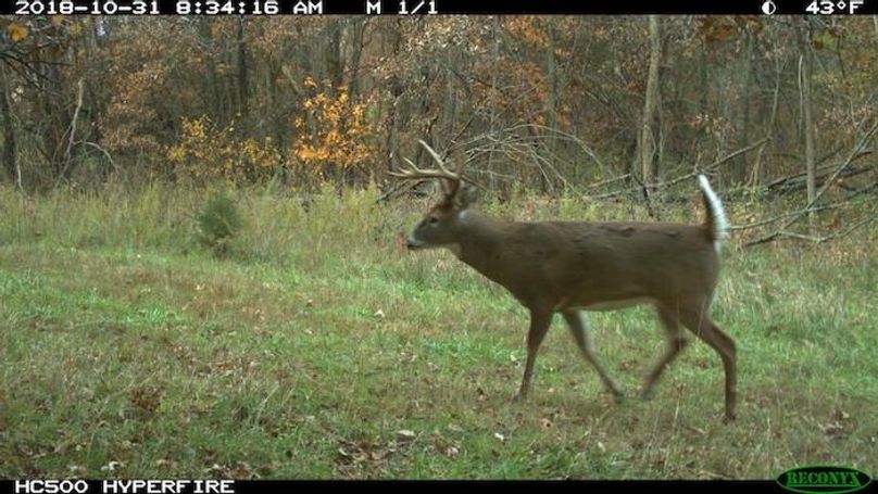 2018-10-31 08-34-16 M 1_1