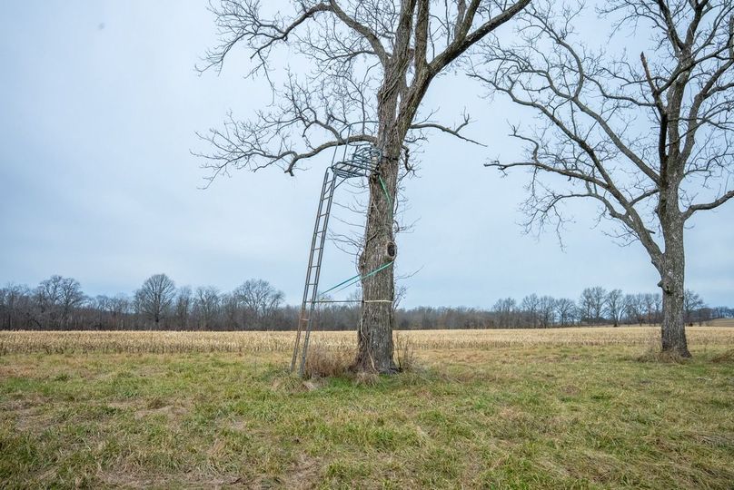 Copy of DSC00718 Large