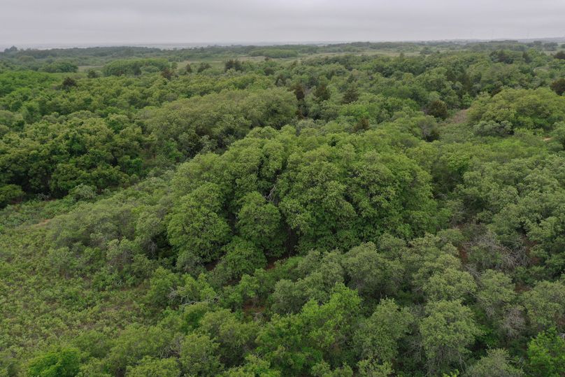DJI_0419
