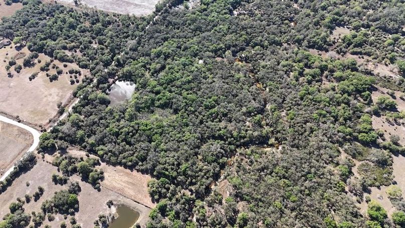 DJI_20260221145439_0344_D