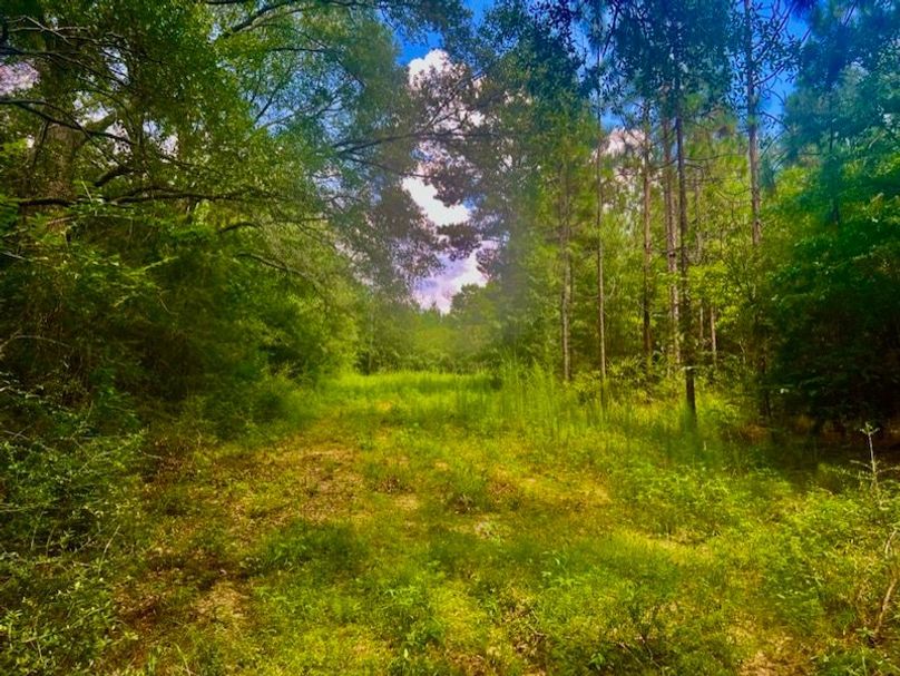 CCB92187-3183-404A-B6A2-BD156277F23E_1_105_c