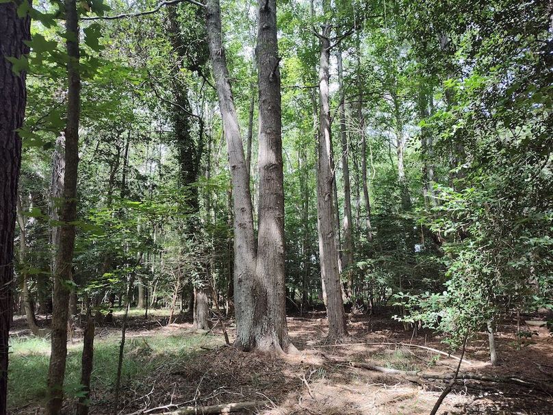 IMG_20250830_120424761