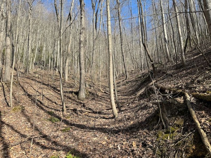 Cherokee 118.85 Harris Top-33