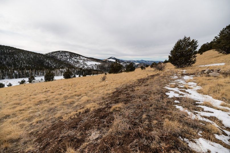 Teller Co 20.288 Bugbee - 010 Driveway View