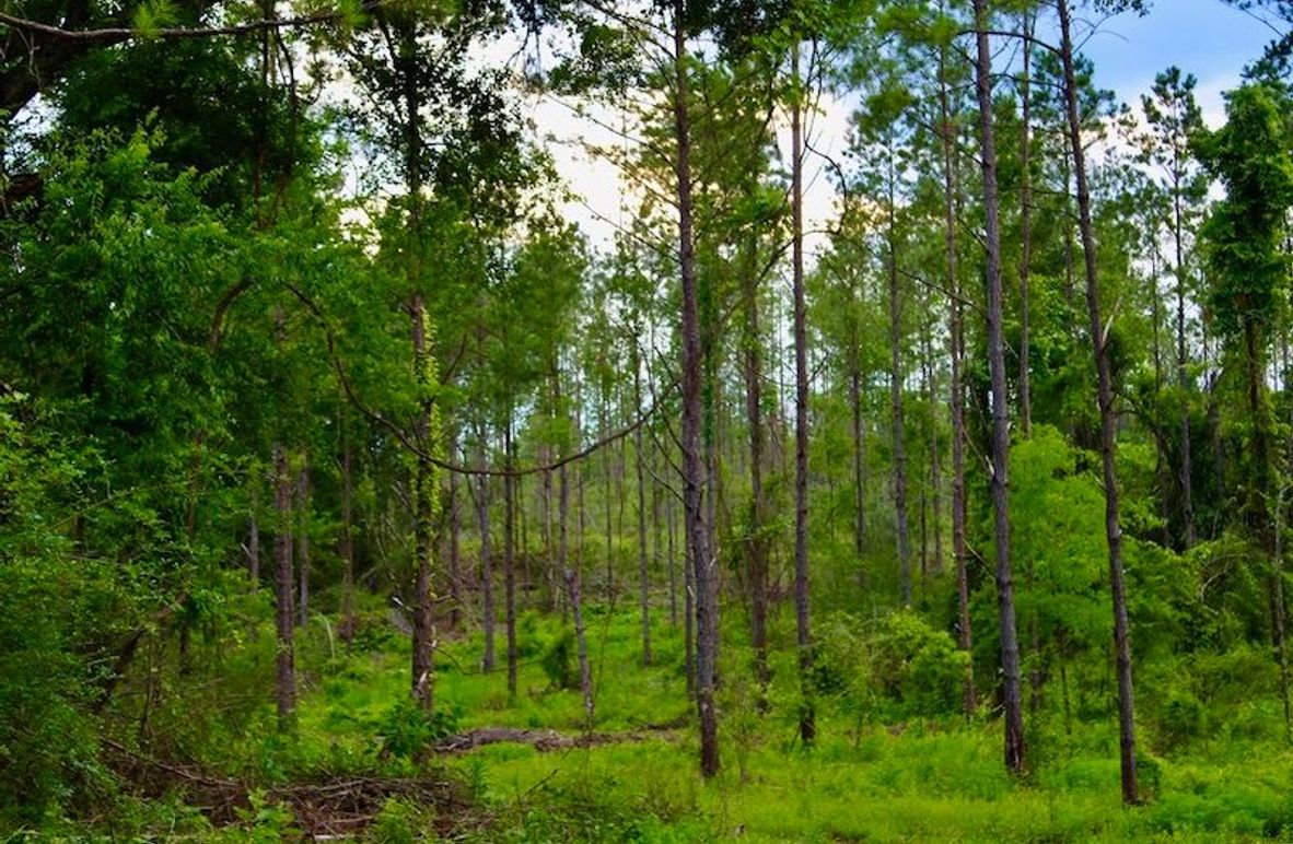 2D287F19-0B8E-43B5-83AE-D8734345C414_1_105_c