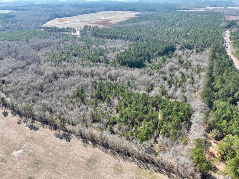 dji_fly_20260213_144222_336_1771012089374_photo