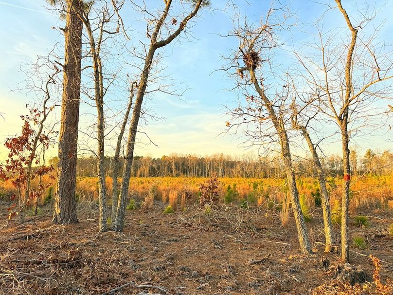 C787D9C9-2137-429E-8F9B-3E04226D4637