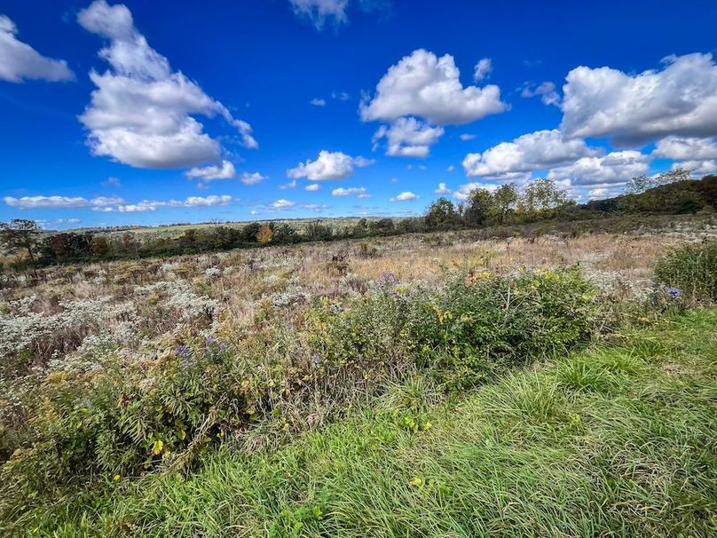 Tompkins_30.32_Hildreth_Estate_Phoros_33