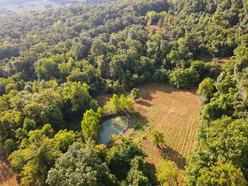 dji_fly_20250826_083832_692_1756215537418_photo