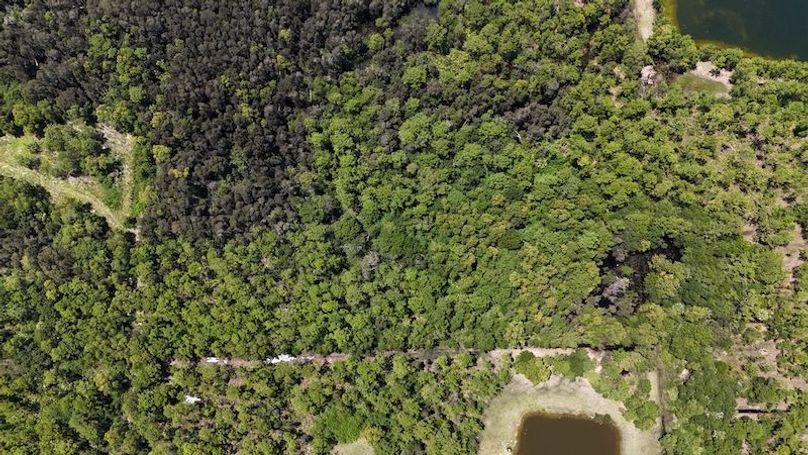 DJI_20250819133313_0011_D