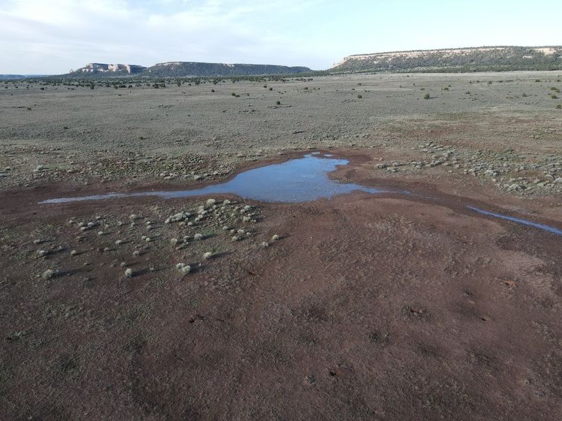 dji_fly_20240504_073020_313_1714829434579_photo