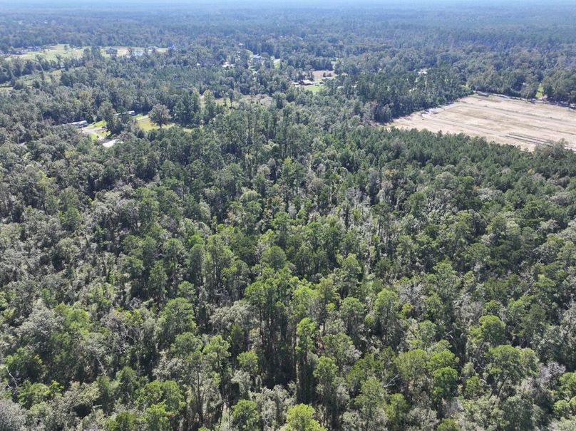 dji_fly_20251014_150354_0670_1760473193880_photo