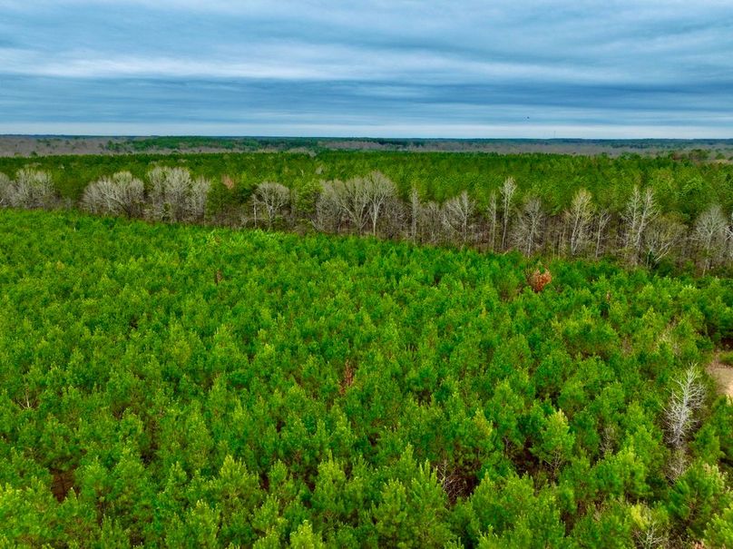 BE6473A8-D72B-4014-BBD4-56DFA7874A0A_1_105_c