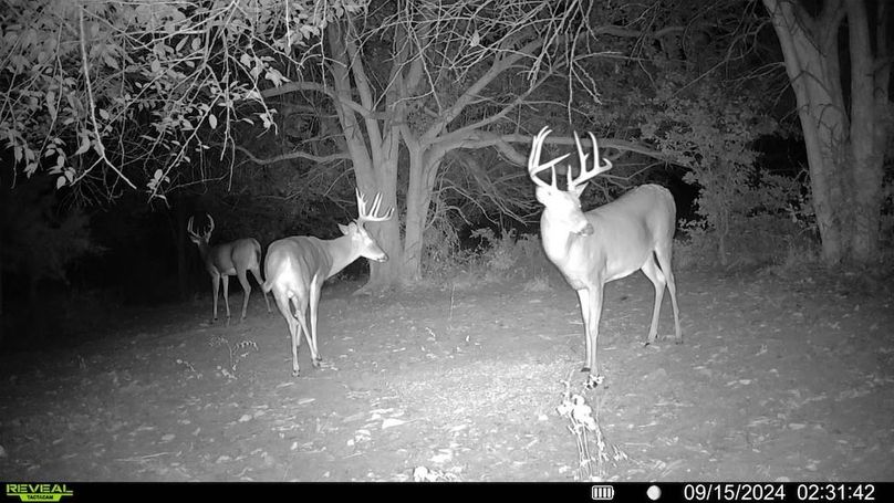 Trail cam 13