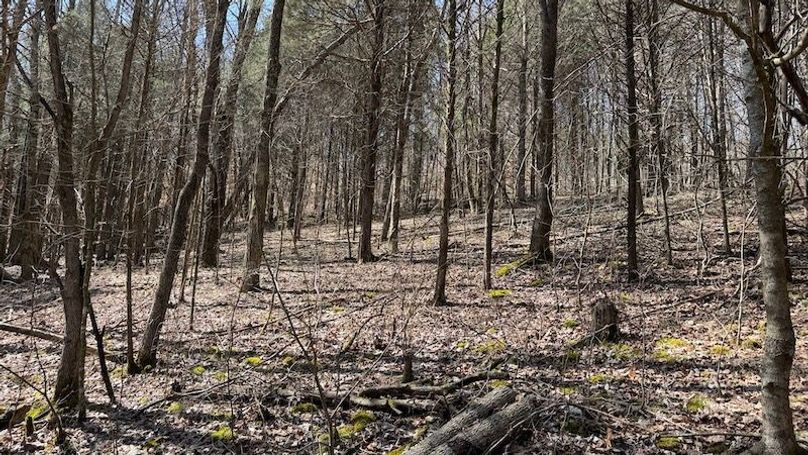 Butler 118 Capella36