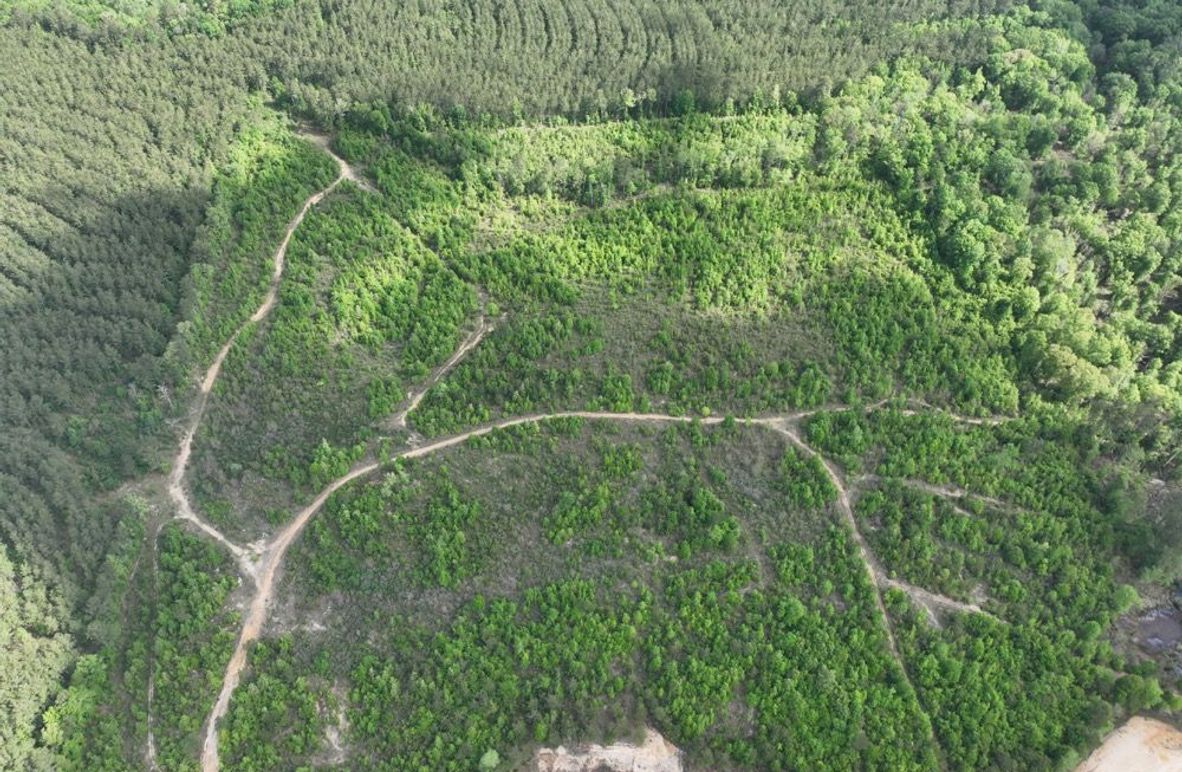 dji_fly_20260415_104944_380_1776345118705_photo