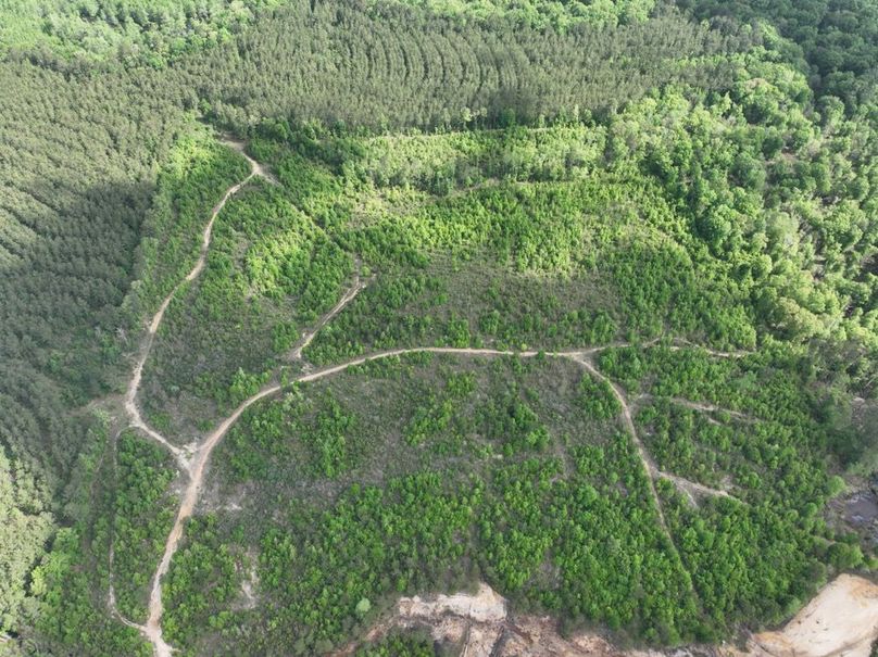 dji_fly_20260415_104944_380_1776345118705_photo