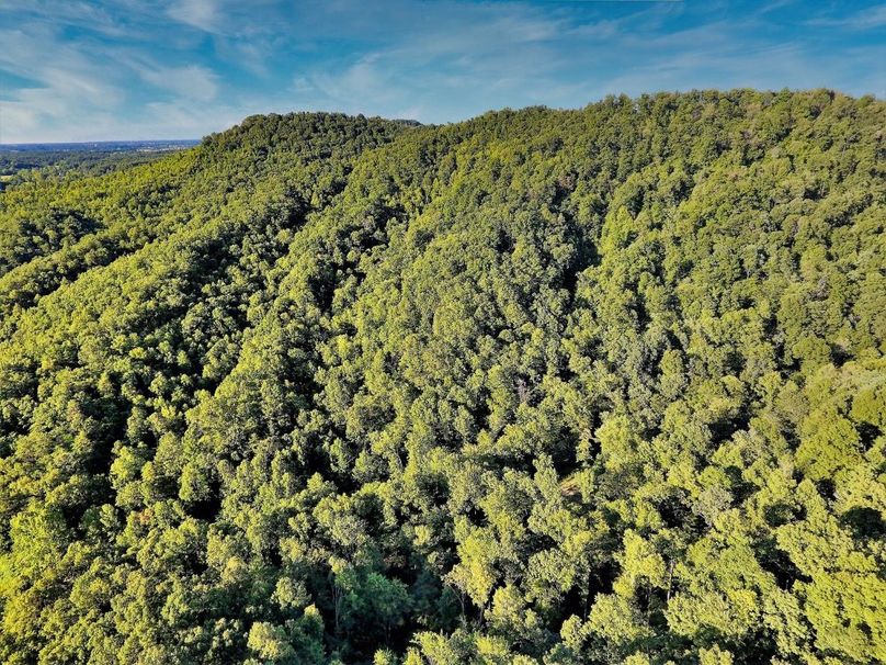 021 drone shot from the center of the property facing north-2