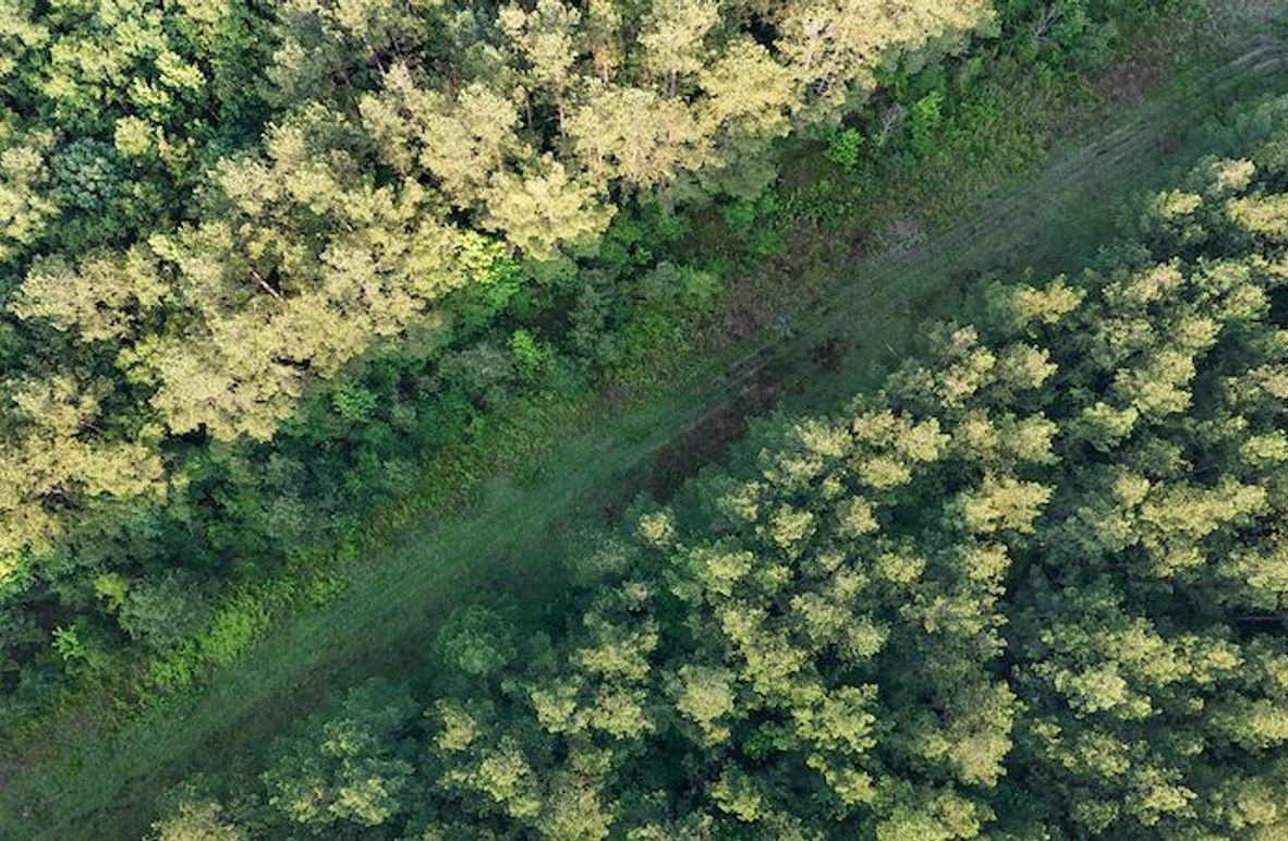 Copiah Co - 192 - Nutt-01