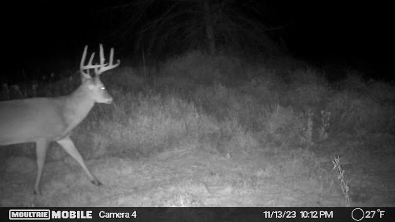 Temp_1082385-20231114041313-20231113221208_002214