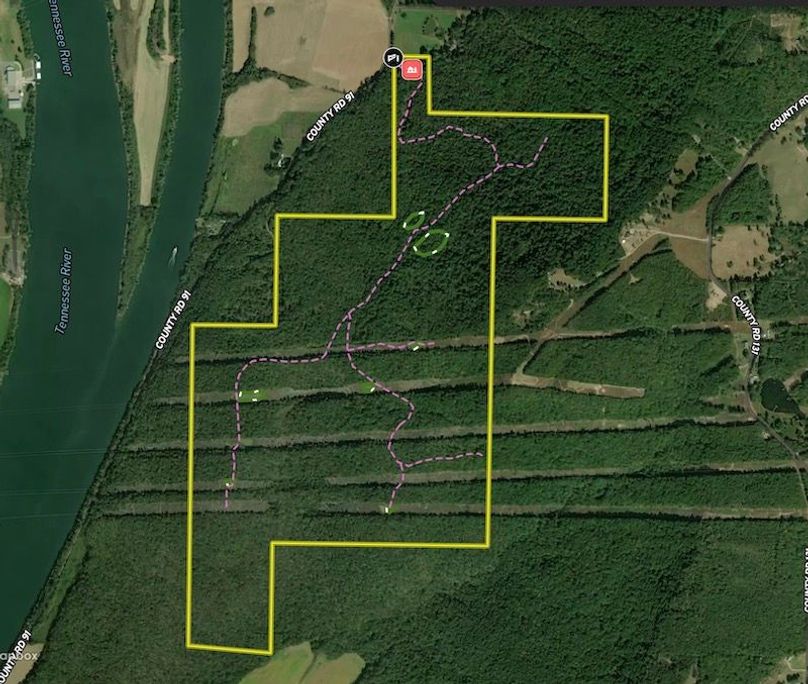 Screenshot 2026-01-30 at 11.50.24 AM