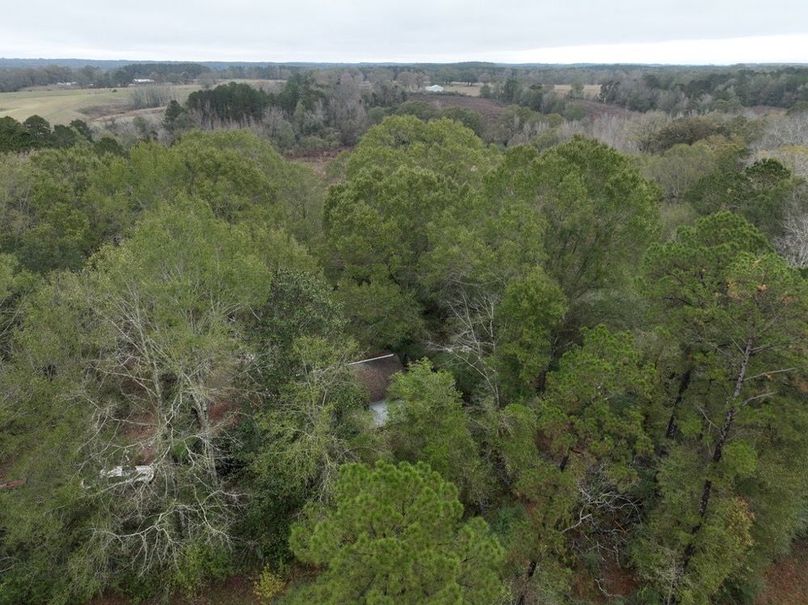 D986C5AA-3EB9-4348-BE7F-9FBA33C951BD_1_105_c-2