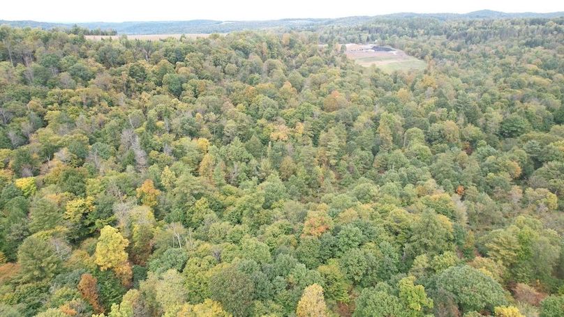 dji_fly_20240926_133512_730_1727372586519_photo