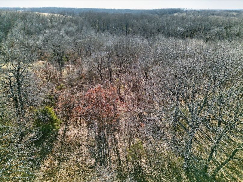 DJI_20260209152549_0050_D