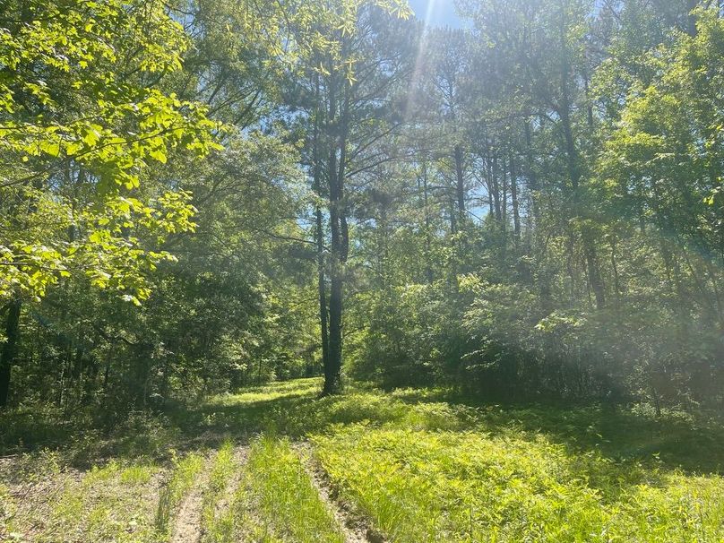 6632CDCE-BA38-47E1-ADC4-9B68D7CC000A_1_105_c