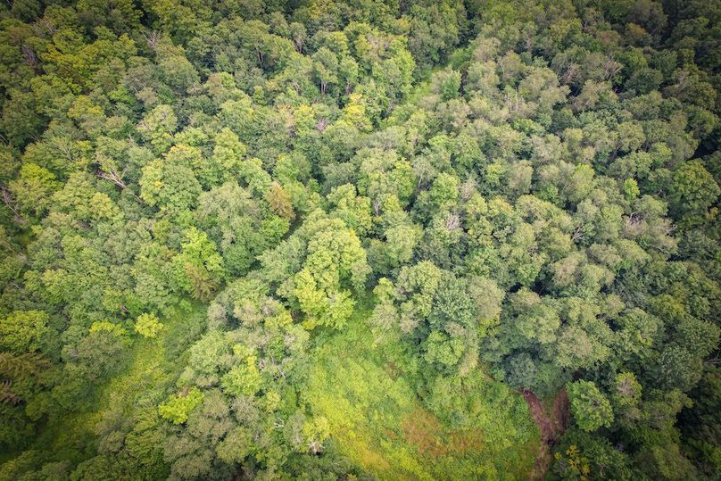 Jefferson_53.29_Johnson_Photos_31