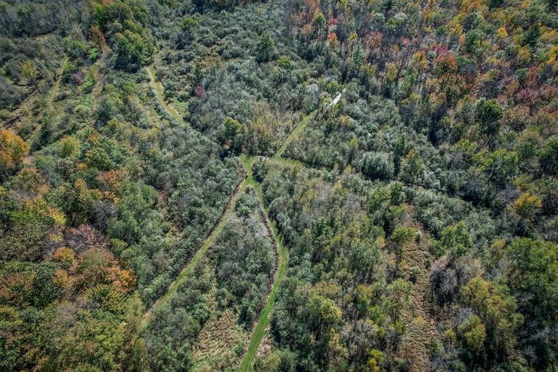 Wood 41.451, Collins -36